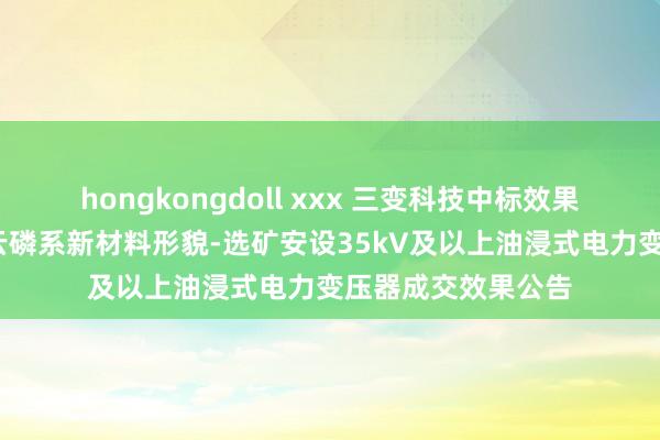 hongkongdoll xxx 三变科技中标效果：五环公司-新祥云磷系新材料形貌-选矿安设35kV及以上油浸式电力变压器成交效果公告