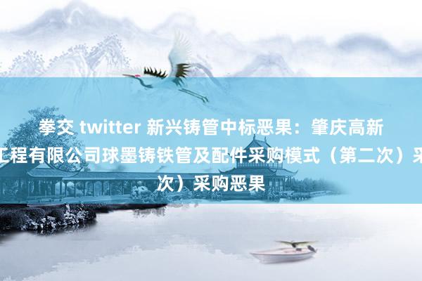 拳交 twitter 新兴铸管中标恶果：肇庆高新区粤旺工程有限公司球墨铸铁管及配件采购模式（第二次）采购恶果