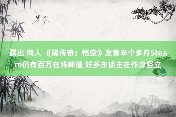 露出 同人 《黑传奇：悟空》发售半个多月Steam仍有百万在线峰值 好多东谈主在作念竖立