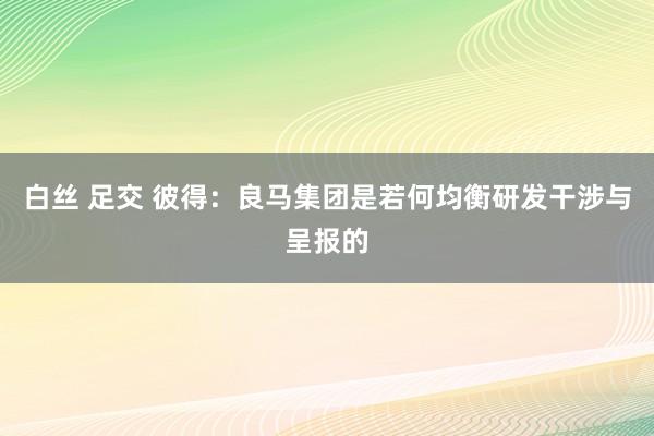 白丝 足交 彼得：良马集团是若何均衡研发干涉与呈报的