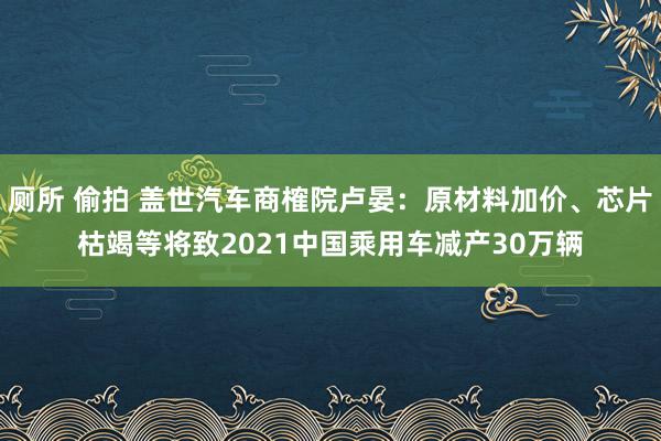 厕所 偷拍 盖世汽车商榷院卢晏：原材料加价、芯片枯竭等将致2021中国乘用车减产30万辆