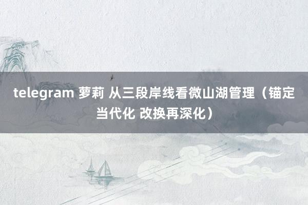 telegram 萝莉 从三段岸线看微山湖管理（锚定当代化 改换再深化）