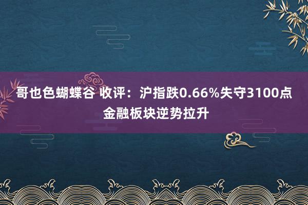 哥也色蝴蝶谷 收评：沪指跌0.66%失守3100点 金融板块逆势拉升