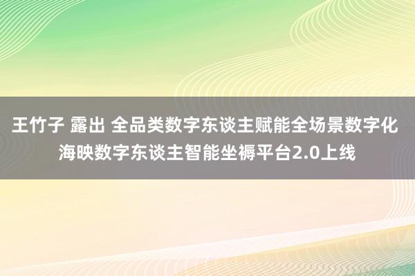 王竹子 露出 全品类数字东谈主赋能全场景数字化 海映数字东谈主智能坐褥平台2.0上线