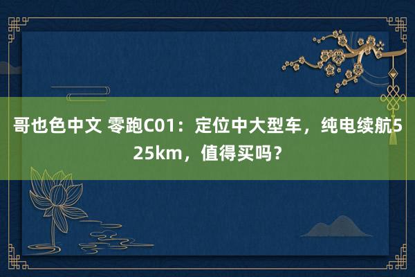 哥也色中文 零跑C01：定位中大型车，纯电续航525km，值得买吗？