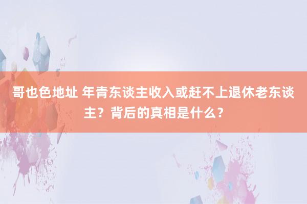 哥也色地址 年青东谈主收入或赶不上退休老东谈主？背后的真相是什么？