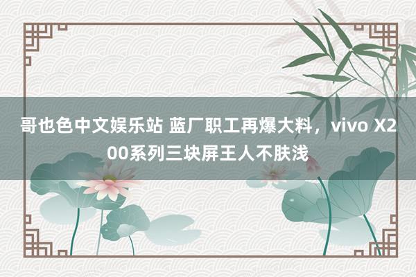 哥也色中文娱乐站 蓝厂职工再爆大料，vivo X200系列三块屏王人不肤浅