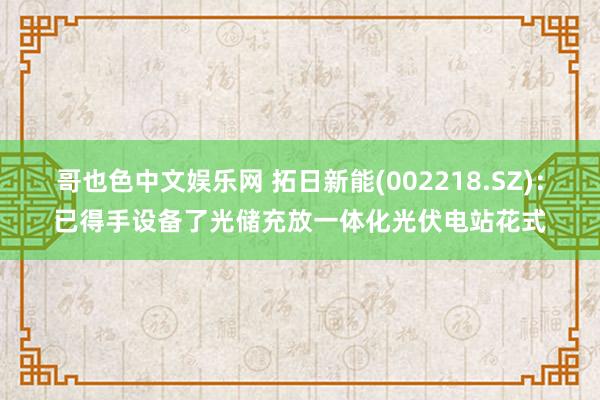 哥也色中文娱乐网 拓日新能(002218.SZ)：已得手设备了光储充放一体化光伏电站花式