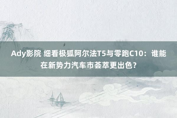 Ady影院 细看极狐阿尔法T5与零跑C10：谁能在新势力汽车市荟萃更出色？