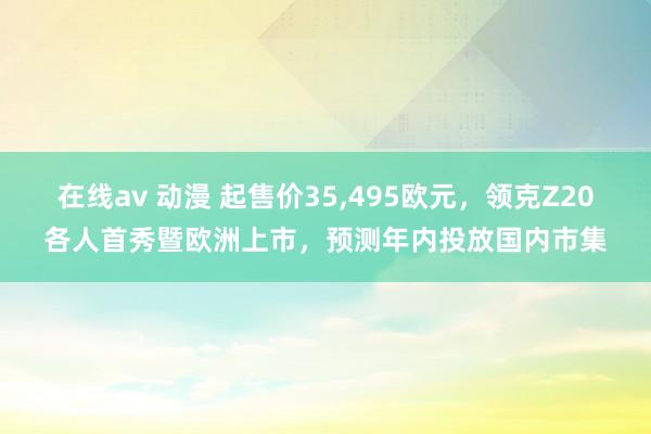 在线av 动漫 起售价35，495欧元，领克Z20各人首秀暨欧洲上市，预测年内投放国内市集