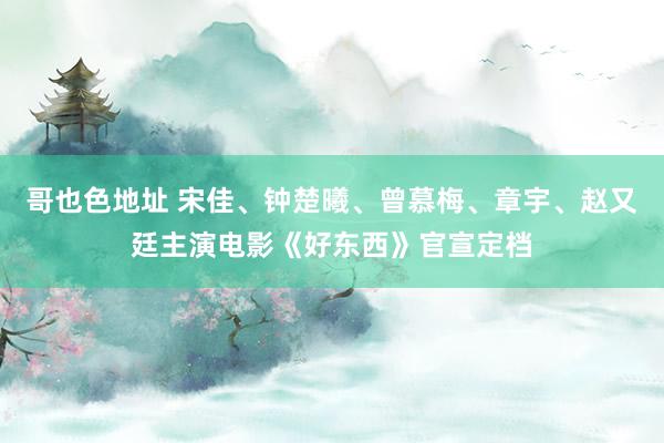 哥也色地址 宋佳、钟楚曦、曾慕梅、章宇、赵又廷主演电影《好东西》官宣定档