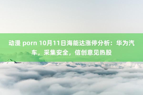 动漫 porn 10月11日海能达涨停分析：华为汽车，采集安全，信创意见热股