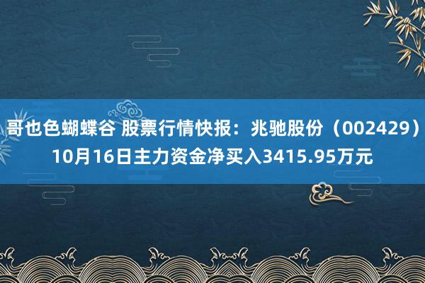 哥也色蝴蝶谷 股票行情快报：兆驰股份（002429）10月16日主力资金净买入3415.95万元