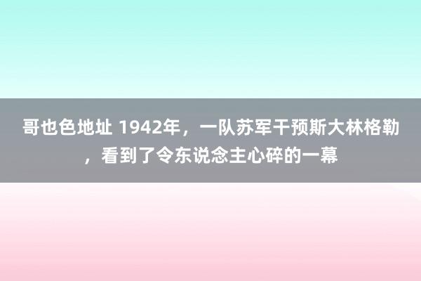 哥也色地址 1942年，一队苏军干预斯大林格勒，看到了令东说念主心碎的一幕