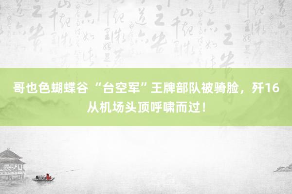 哥也色蝴蝶谷 “台空军”王牌部队被骑脸，歼16从机场头顶呼啸而过！