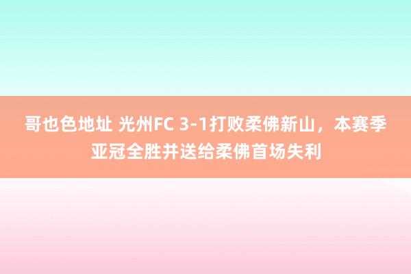 哥也色地址 光州FC 3-1打败柔佛新山，本赛季亚冠全胜并送给柔佛首场失利