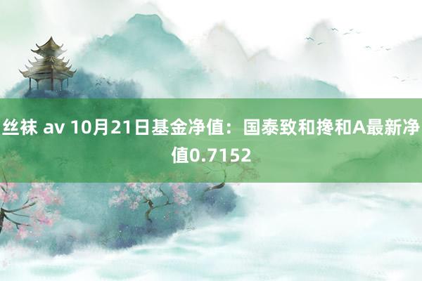 丝袜 av 10月21日基金净值：国泰致和搀和A最新净值0.7152