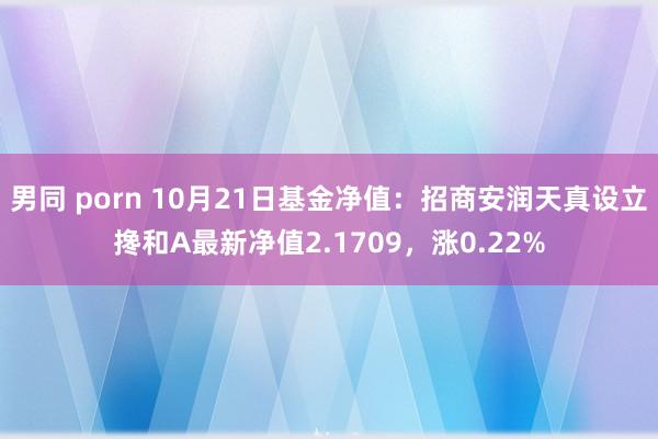 男同 porn 10月21日基金净值：招商安润天真设立搀和A最新净值2.1709，涨0.22%