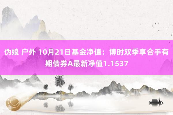 伪娘 户外 10月21日基金净值：博时双季享合手有期债券A最新净值1.1537