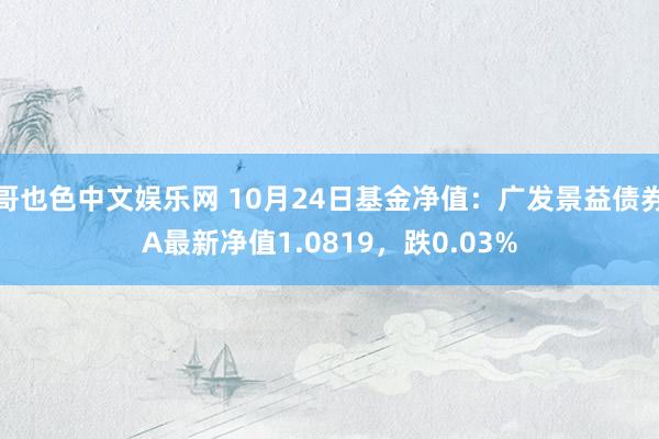 哥也色中文娱乐网 10月24日基金净值：广发景益债券A最新净值1.0819，跌0.03%