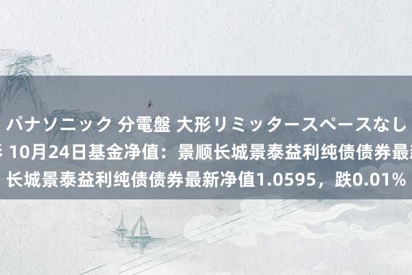 パナソニック 分電盤 大形リミッタースペースなし 露出・半埋込両用形 10月24日基金净值：景顺长城景泰益利纯债债券最新净值1.0595，跌0.01%