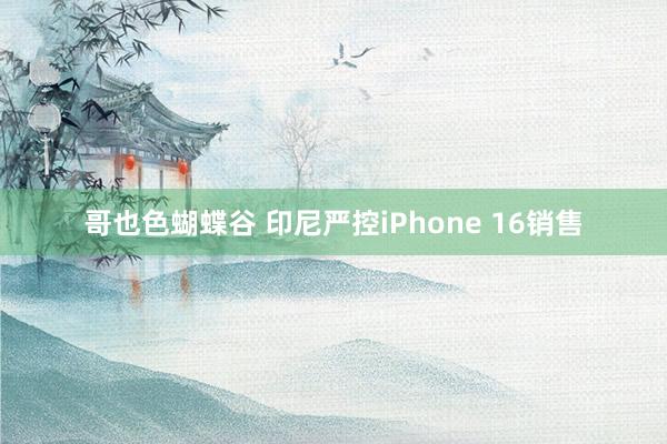 哥也色蝴蝶谷 印尼严控iPhone 16销售