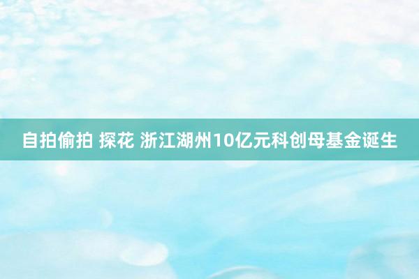 自拍偷拍 探花 浙江湖州10亿元科创母基金诞生