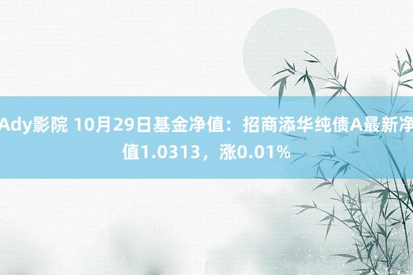 Ady影院 10月29日基金净值：招商添华纯债A最新净值1.0313，涨0.01%