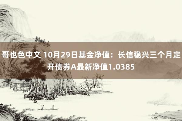 哥也色中文 10月29日基金净值：长信稳兴三个月定开债券A最新净值1.0385