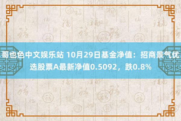 哥也色中文娱乐站 10月29日基金净值：招商景气优选股票A最新净值0.5092，跌0.8%