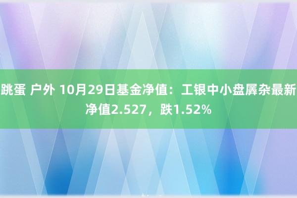 跳蛋 户外 10月29日基金净值：工银中小盘羼杂最新净值2.527，跌1.52%