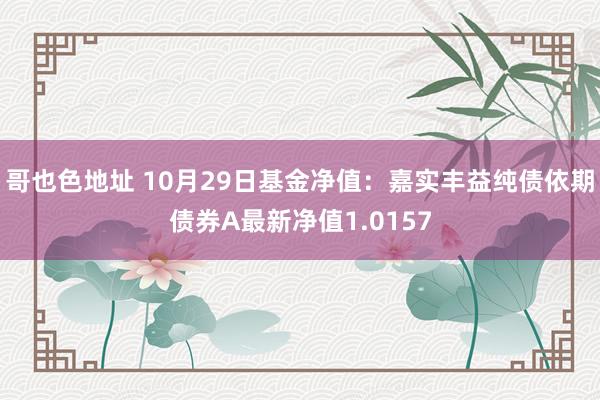 哥也色地址 10月29日基金净值：嘉实丰益纯债依期债券A最新净值1.0157