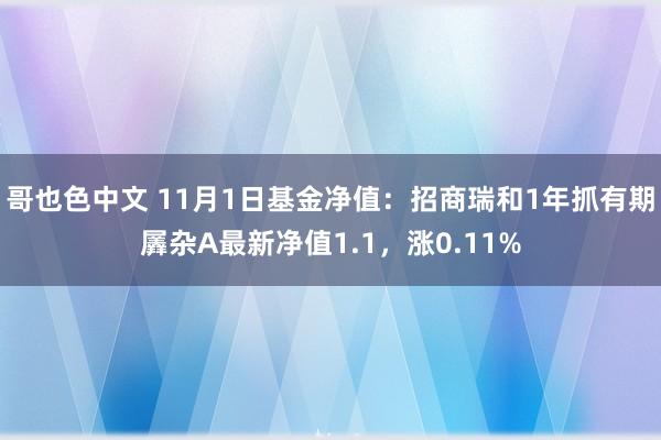 哥也色中文 11月1日基金净值：招商瑞和1年抓有期羼杂A最新净值1.1，涨0.11%