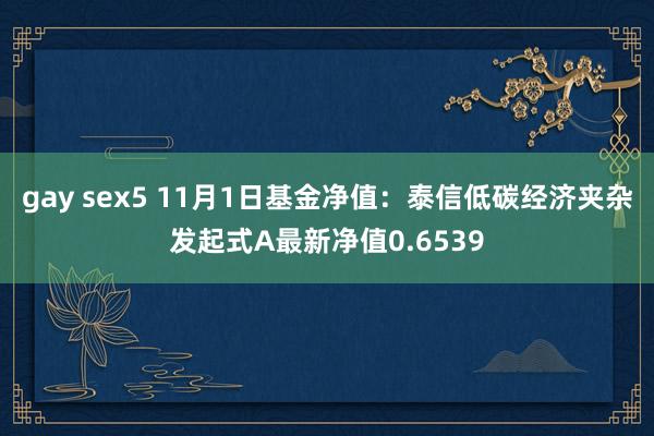 gay sex5 11月1日基金净值：泰信低碳经济夹杂发起式A最新净值0.6539