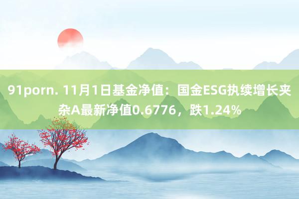 91porn. 11月1日基金净值：国金ESG执续增长夹杂A最新净值0.6776，跌1.24%