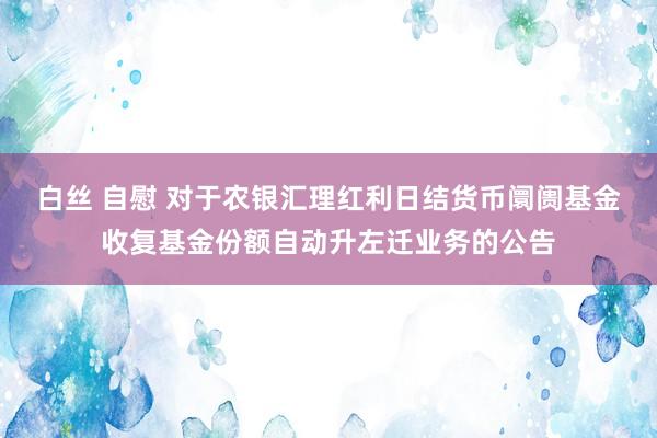 白丝 自慰 对于农银汇理红利日结货币阛阓基金收复基金份额自动升左迁业务的公告