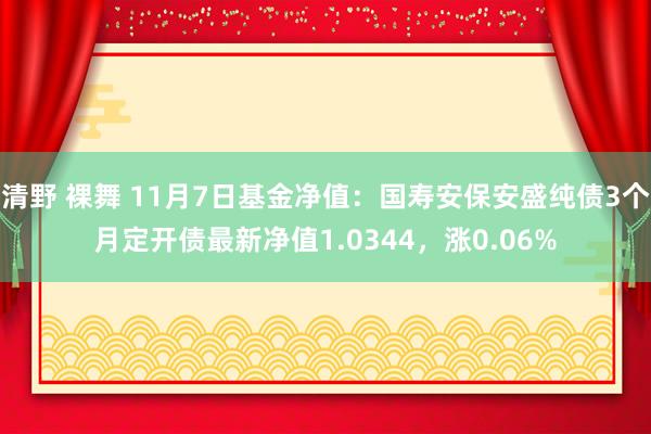 清野 裸舞 11月7日基金净值：国寿安保安盛纯债3个月定开债最新净值1.0344，涨0.06%