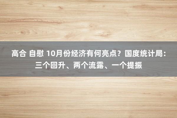 高合 自慰 10月份经济有何亮点？国度统计局：三个回升、两个流露、一个提振