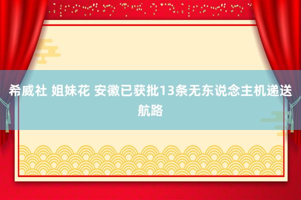 希威社 姐妹花 安徽已获批13条无东说念主机递送航路