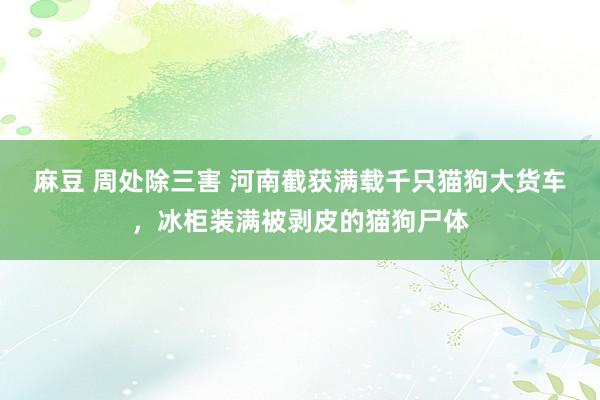 麻豆 周处除三害 河南截获满载千只猫狗大货车，冰柜装满被剥皮的猫狗尸体