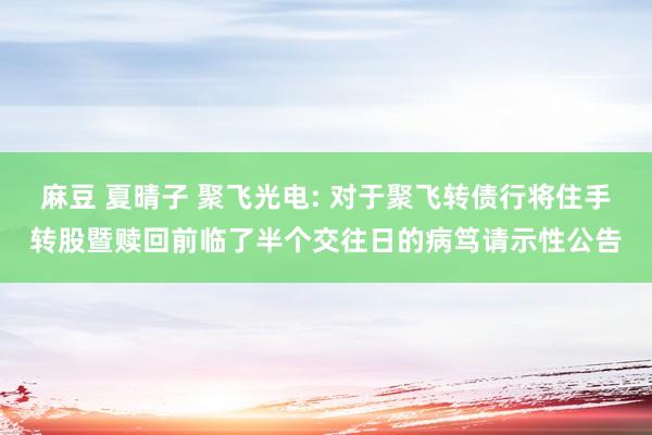 麻豆 夏晴子 聚飞光电: 对于聚飞转债行将住手转股暨赎回前临了半个交往日的病笃请示性公告