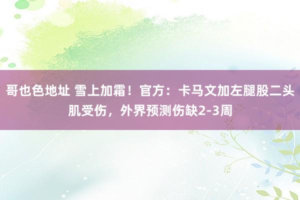 哥也色地址 雪上加霜！官方：卡马文加左腿股二头肌受伤，外界预测伤缺2-3周