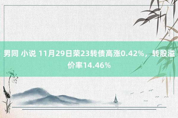 男同 小说 11月29日荣23转债高涨0.42%，转股溢价率14.46%