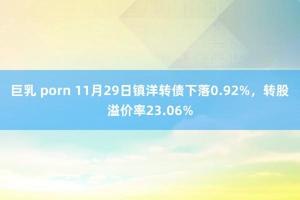 巨乳 porn 11月29日镇洋转债下落0.92%，转股溢价率23.06%