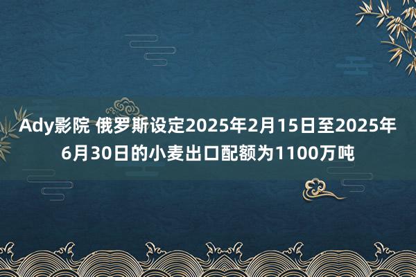 Ady影院 俄罗斯设定2025年2月15日至2025年6月30日的小麦出口配额为1100万吨