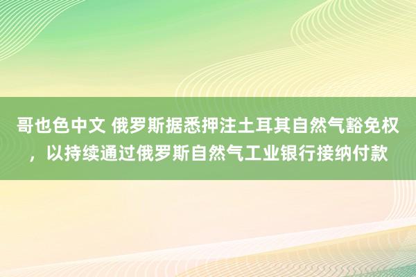 哥也色中文 俄罗斯据悉押注土耳其自然气豁免权，以持续通过俄罗斯自然气工业银行接纳付款