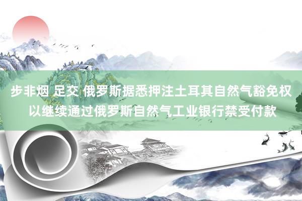 步非烟 足交 俄罗斯据悉押注土耳其自然气豁免权 以继续通过俄罗斯自然气工业银行禁受付款