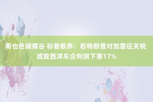 哥也色蝴蝶谷 标普教养：若特朗普对加墨征关税 或致西洋车企利润下落17%