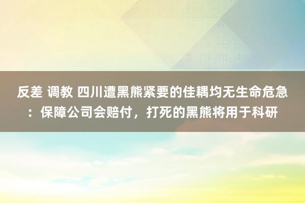 反差 调教 四川遭黑熊紧要的佳耦均无生命危急：保障公司会赔付，打死的黑熊将用于科研