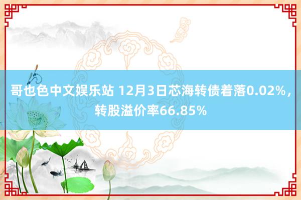 哥也色中文娱乐站 12月3日芯海转债着落0.02%，转股溢价率66.85%